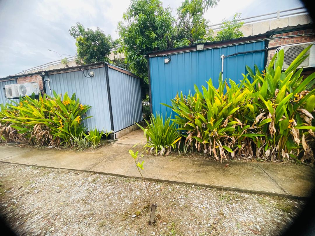 Cabin walkway lined with heliconia plants